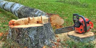 Orangeburg, SC Tree Services Company